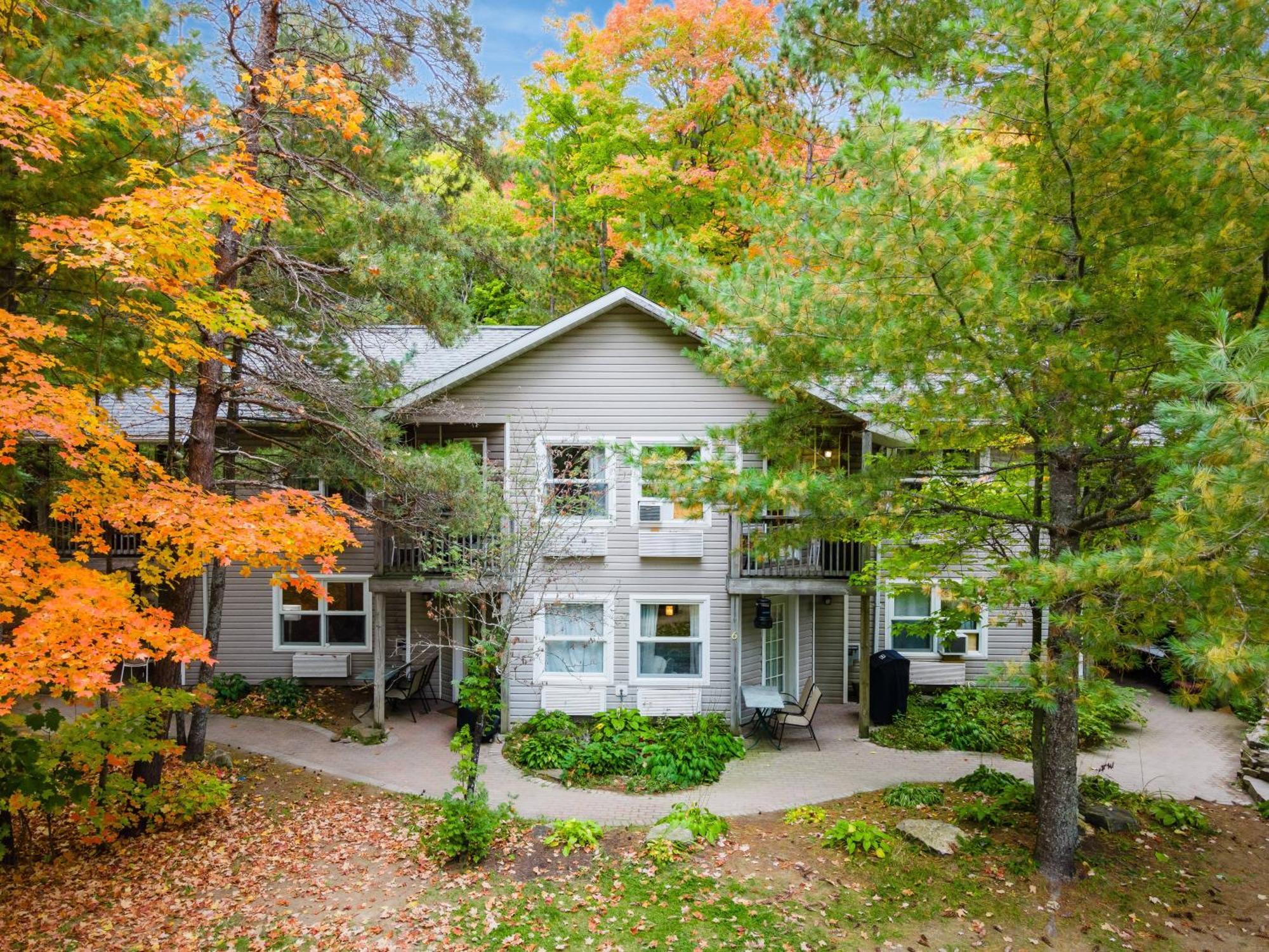 Muskoka Waterfront Retreat Villa Dwight Ngoại thất bức ảnh
